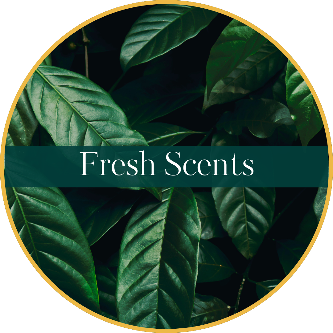 Fresh Scents Fahaliya's