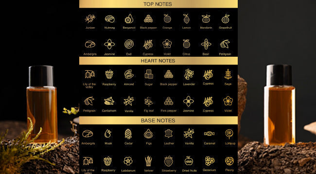 Top, Heart, and Base Notes: What They Are and Why They Matter